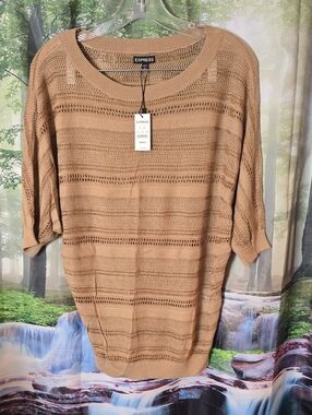 Express Open-Knit Boxy Pullover Sweater in Tan